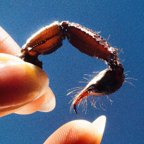 Squid COWARDS Warp Records LIMITED EDITION New Sealed Clear Vinyl Record LP