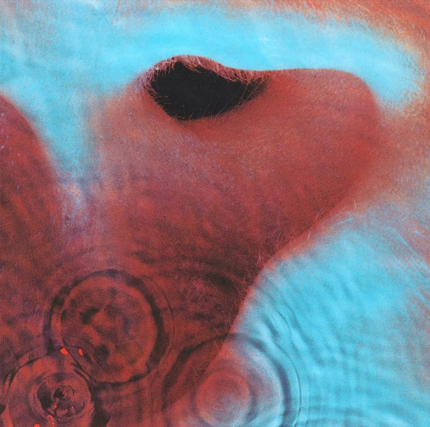 Pink Floyd MEDDLE (EU) 6th Album 180g REMASTERED Gatefold NEW SEALED VINYL LP
