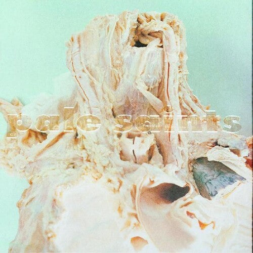 Pale Saints IN RIBBONS 30th Anniversary REMASTERED New Sealed Clear Vinyl 2 LP