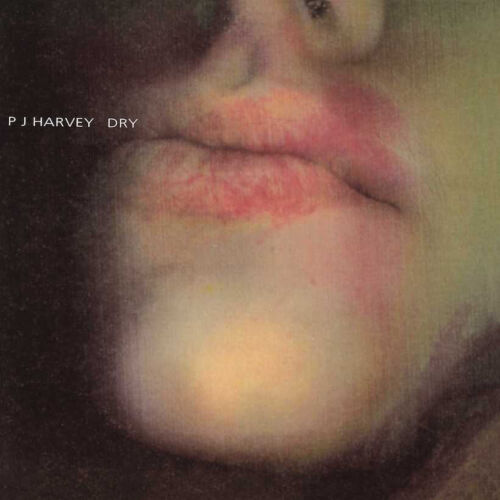 PJ Harvey DRY 180g +MP3s ISLAND RECORDS New Sealed Black Vinyl Record LP