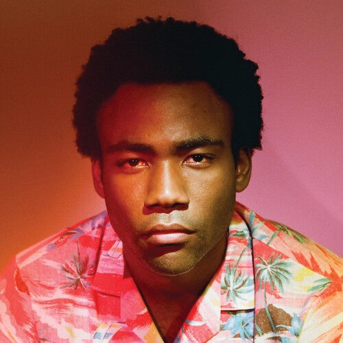 Childish Gambino Because The Internet 2LP