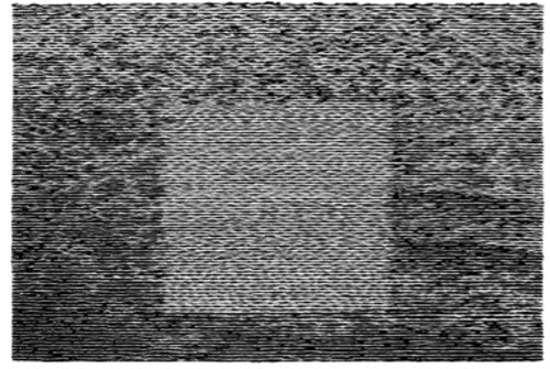 Grouper GRID OF POINTS New Black Vinyl Record LP