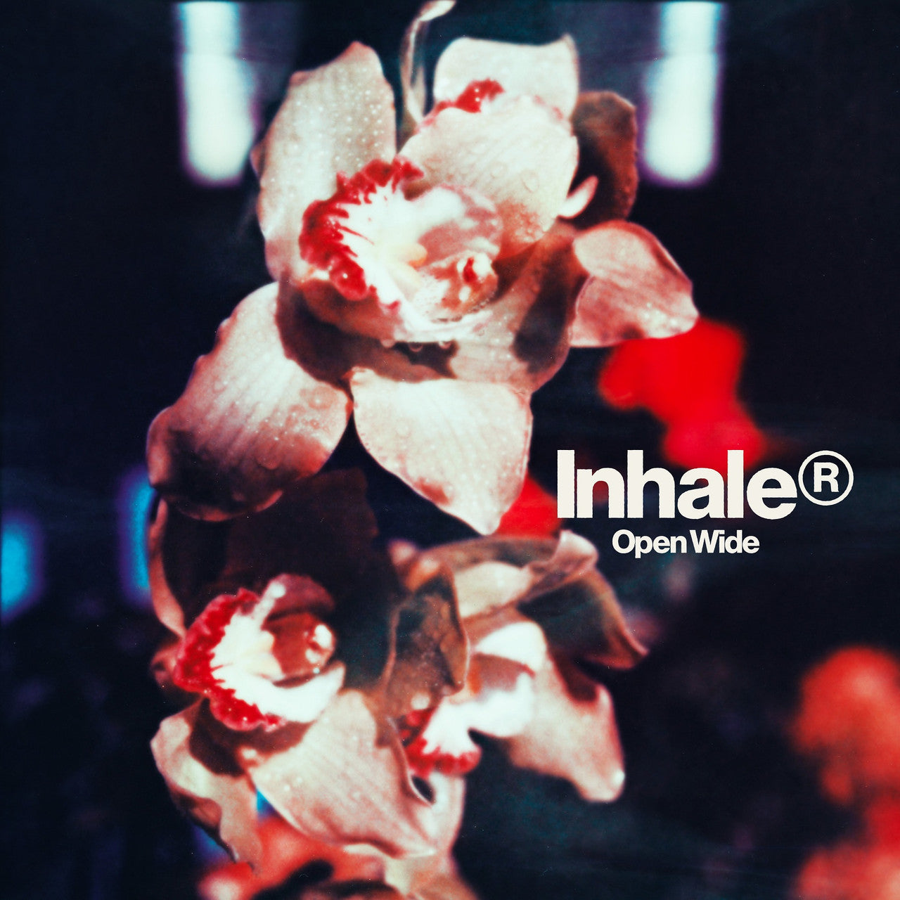 Inhaler OPEN WIDE Indie Exclusive NEW SEALED LIMITED PINK COLORED VINYL LP