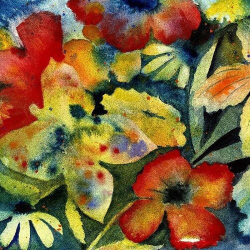 Adrianne Lenker SONGS & INTSTRUMENTALS New Sealed Black Vinyl Record 2 LP