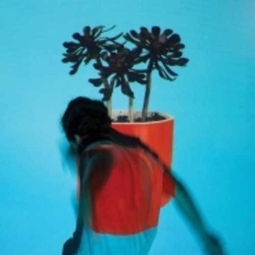 Local Natives SUNLIT YOUTH +MP3s & 12 Art Prints NEW SEALED BLACK VINYL LP