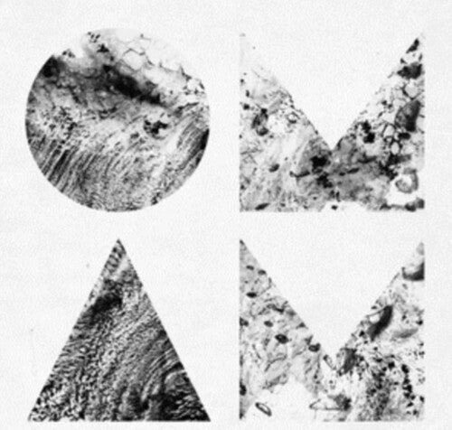 Of Monsters And Men BENEATH THE SKIN New Limited Eco-Graphite Colored Vinyl LP