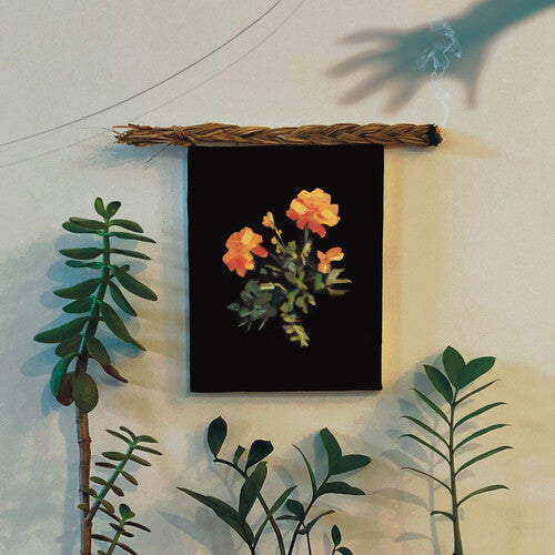 Why? THE WELL I FELL INTO New Sealed Limited Coke Bottle Colored Vinyl Record LP