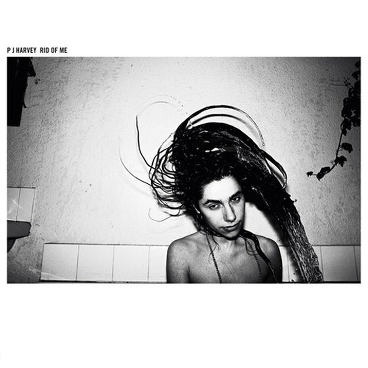 Harvey, PJ Rid Of Me LP