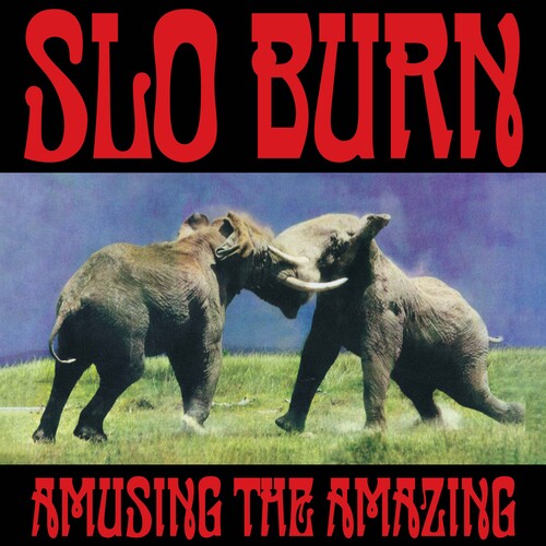 Slo Burn AMUSING THE AMAZING Limited Edition RSD BF 2025 New Etched Vinyl 12" EP