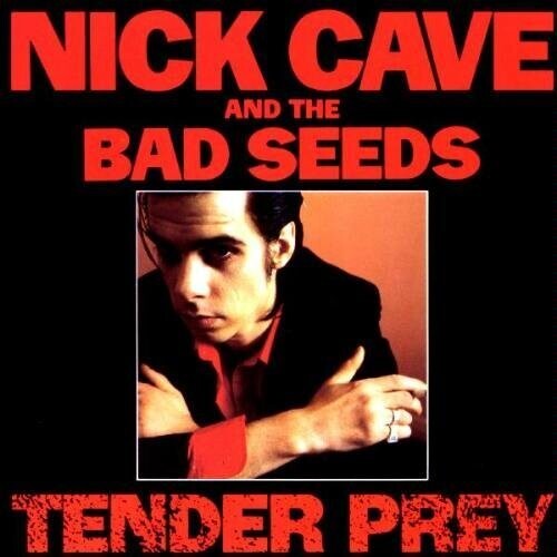 Nick Cave & The Bad Seeds TENDER PREY New Sealed Black Vinyl Record LP