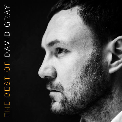 David Gray THE BEST OF DAVID GRAY 17 Essential Songs NEW SEALED VINYL 2 LP
