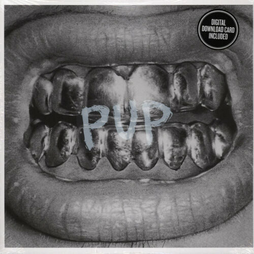 Pup SELF TITLED Debut Album SIDEONEDUMMY RECORDS New Sealed Black Vinyl LP