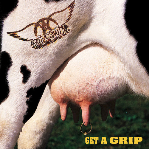 Aerosmith GET A GRIP 180g GEFFEN RECORDS New Sealed Black Vinyl Record 2 LP