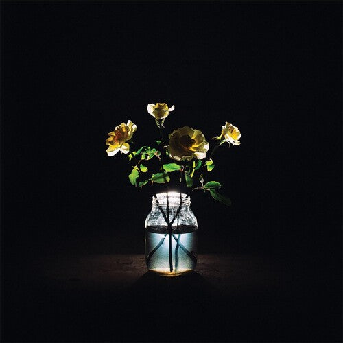 Billy Strings RENEWAL (888072282940) Rounder Records NEW BLACK VINYL RECORD 2 LP