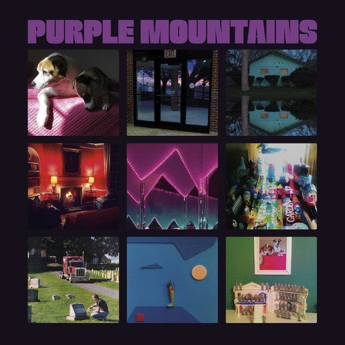 Purple Mountains SEL TITLED Drag City NEW SEALED BLACK VINYL RECORD LP