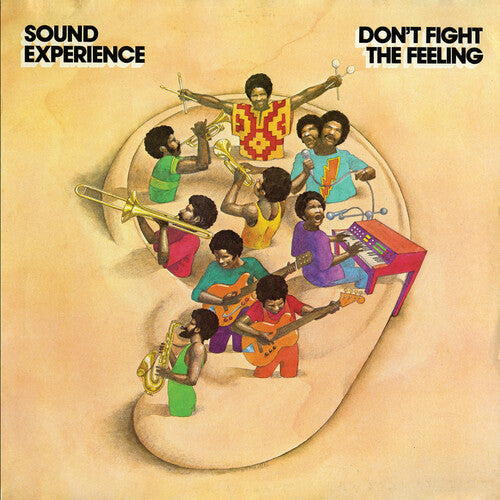 Sound Experience DON'T FIGHT THE FEELING New Sealed Black Vinyl Record 2 LP