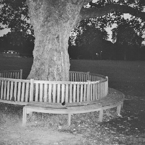 Archy Marshall A NEW PLACE 2 DROWN (INSTRUMENTALS) King Krule NEW BLACK VINYL LP