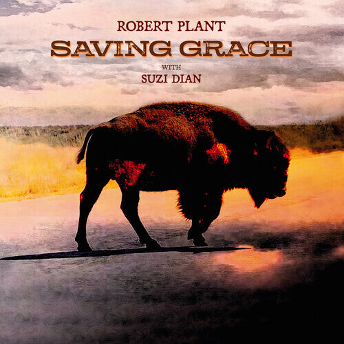 Robert Plant SAVING GRACE 140g New Sealed Black Vinyl Record LP