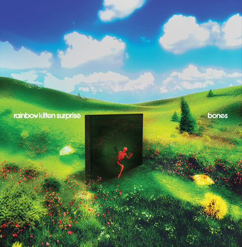 Rainbow Kitten Surprise BONES Limited Edition NEW YELLOW COLORED VINYL RECORD LP