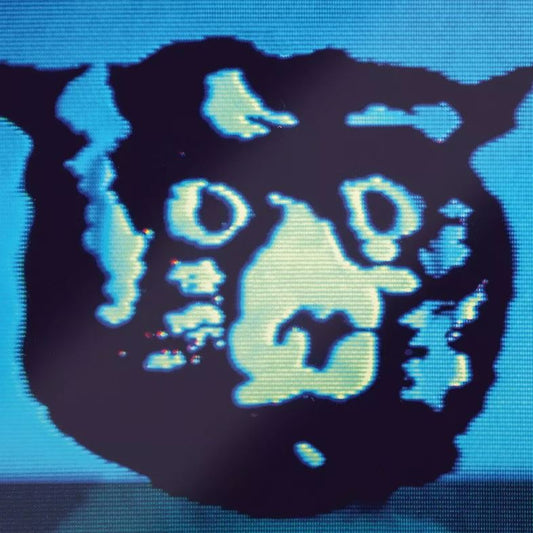 R.E.M. Monster (888072111493) 180g REMASTERED 25th Anniv. REM New Vinyl 2 LP