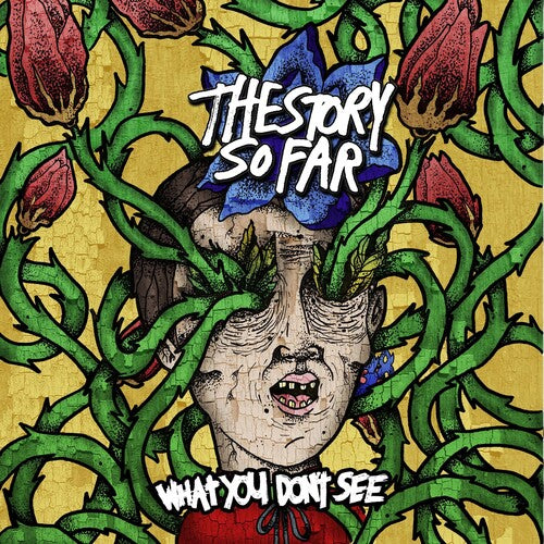 The Story So Far WHAT YOU DON'T SEE New Sealed Colored  Vinyl Record LP