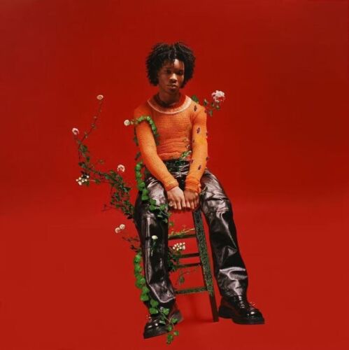 D4VD Petals To Thorns LIMITED EDITION New Sealed Black Ice Vinyl Record LP