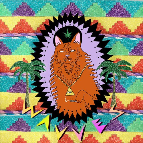 Wavves KING OF THE BEACH Fat Possum Records NEW SEALED BLACK VINYL RECORD LP