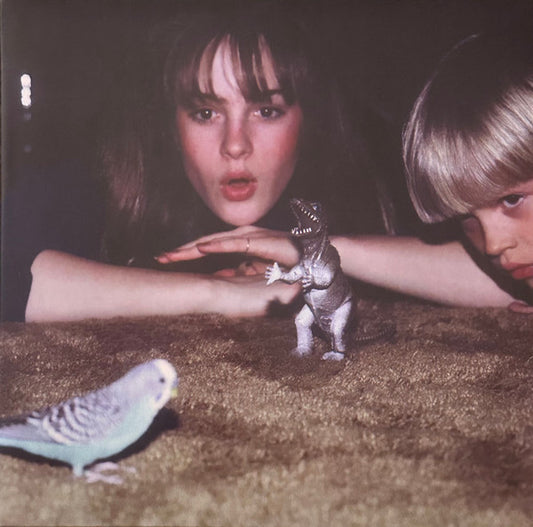 Big Thief MASTERPIECE New Sealed Black Vinyl Record LP