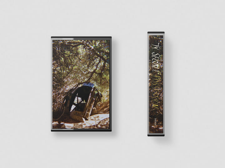Ty Segall POSSESSION New Sealed Cassette Tape