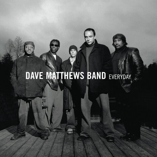 Dave Matthews Band EVERYDAY 140g New Sealed Black Vinyl Record 2 LP