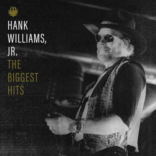 Hank Williams Jr BIGGEST HITS Essential Best Of Collection NEW SEALED VINYL LP
