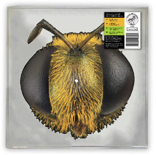 King Gizzard BIG FIG WASP Limited Edition RSD 2026 New Vinyl Shaped Picture Disc