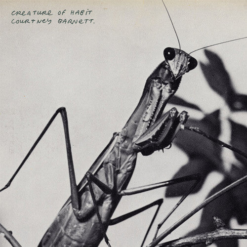 Courtney Barnett CREATURE OF HABIT New Sealed CD