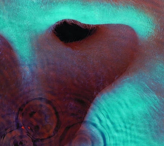 Pink Floyd MEDDLE Remastered NEW SEALED CD