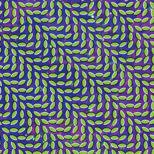 Animal Collective MERRIWEATHER POST PAVILION 180g +MP3s NEW VINYL 2 LP