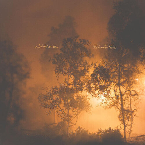 Watchhouse BLINDFALLER New Sealed Black Vinyl Record LP