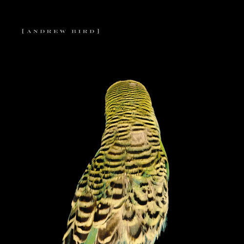 Andrew Bird ARMCHAIR APOCRYPHA New Sealed BLACK VINYL LP