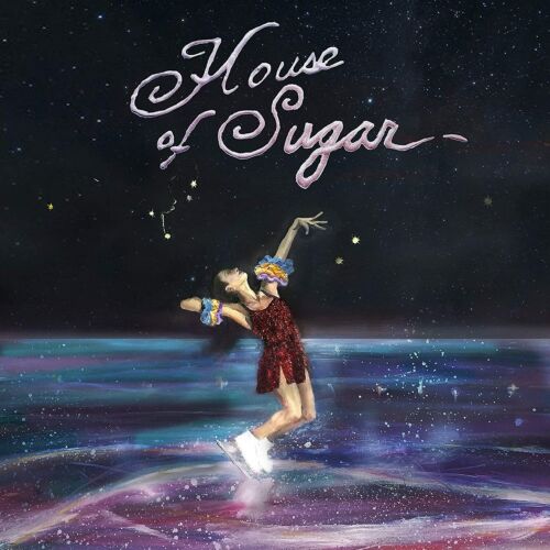 Alex G HOUSE OF SUGAR +MP3s Domino NEW SEALED VINYL RECORD LP