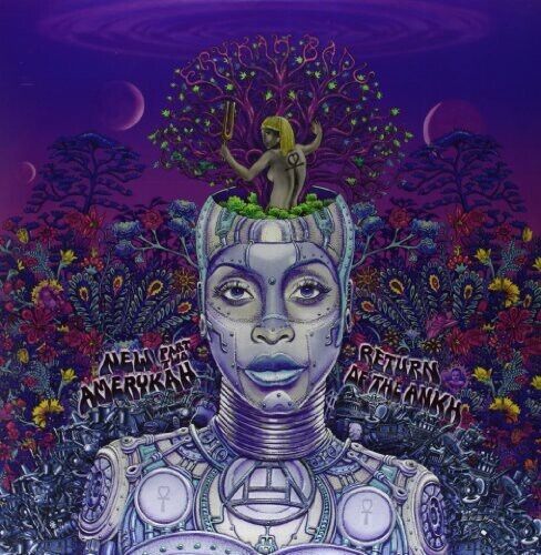 Erykah Badu NEW AMERYKAH PART TWO: RETURN OF THE ANKH New Black Vinyl 2 LP